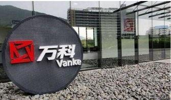 万科爆料最新消息是谁的,揭秘神秘幕后操控者身份！